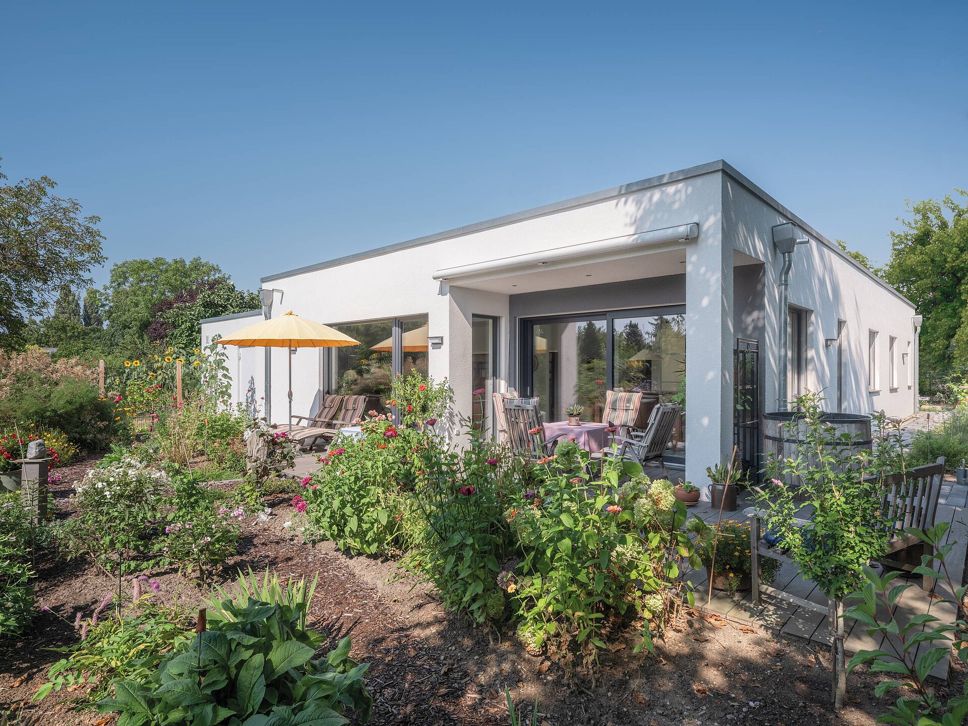 Frei geplanter Bungalow mit Flachdach Bungalow