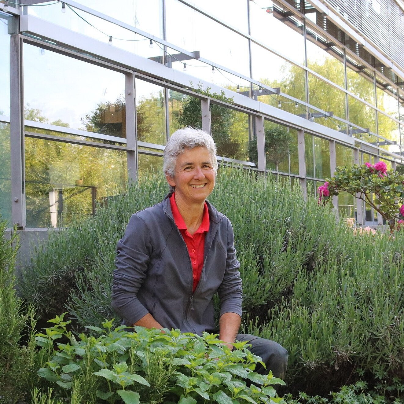Kräuter richtig anpflanzen Kräuter richtig anpflanzen